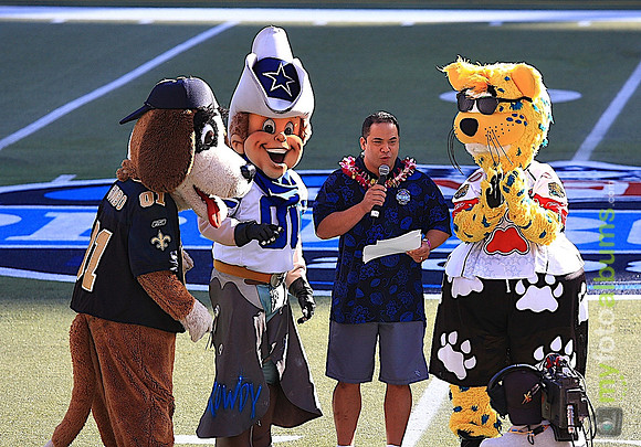 Gumbo, Howdy & Jaxson