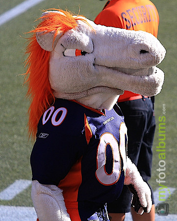 Denver Broncos Mascot, Miles