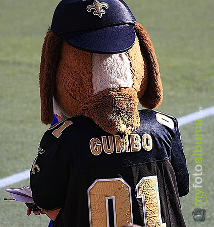 New Orleans Saints Mascot, Gumbo