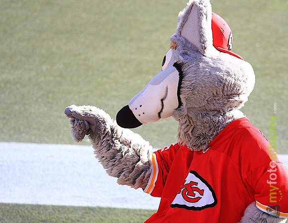 Kansas City Chiefs Mascot, KC Wolf
